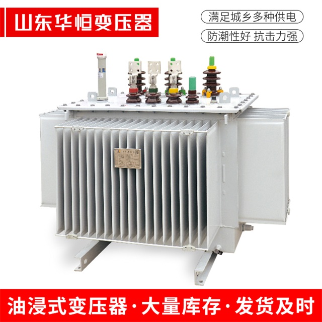 S13-10000/35台州台州台州电力变压器